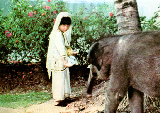 La bambina nutre l'elefantino